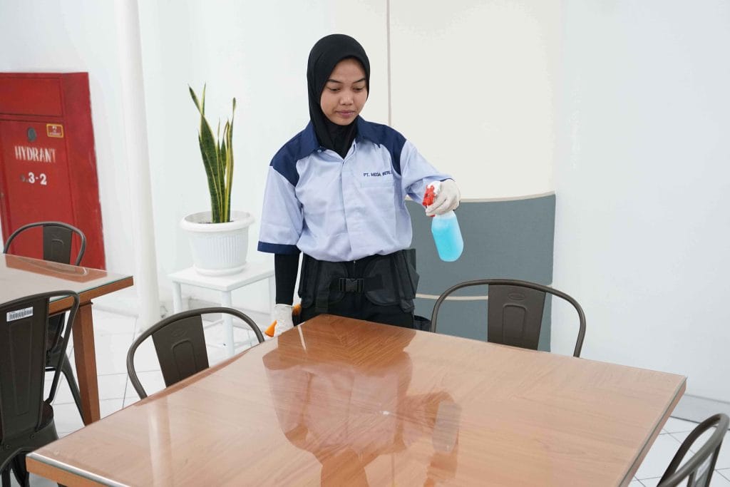 Cleaning Service